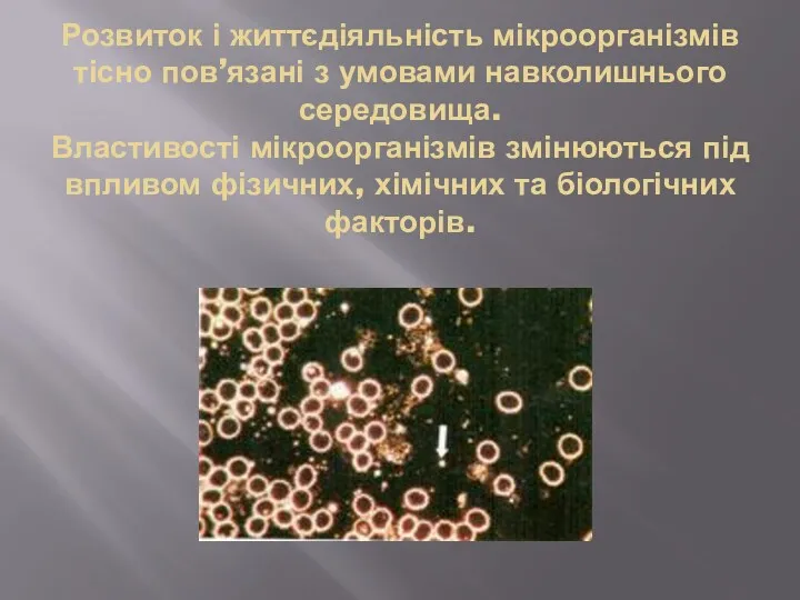 Розвиток і життєдіяльність мікроорганізмів тісно пов’язані з умовами навколишнього середовища.