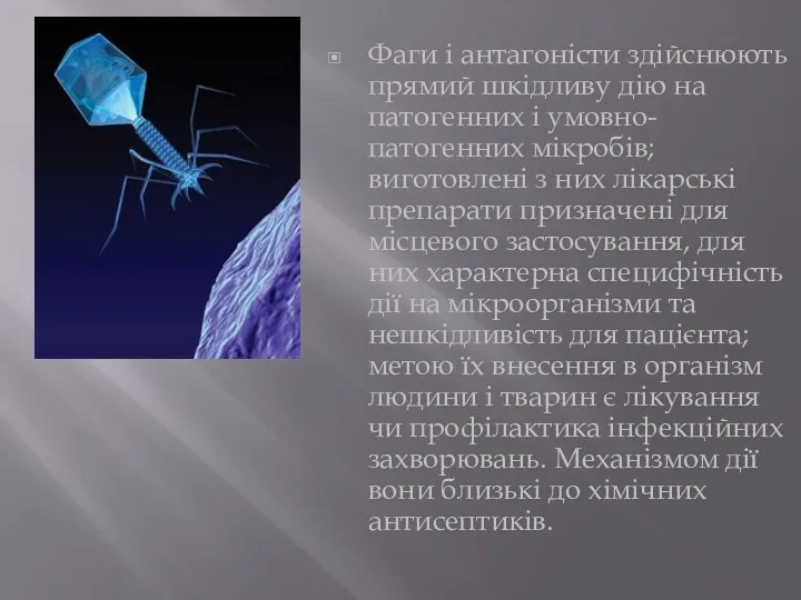 Фаги і антагоністи здійснюють прямий шкідливу дію на патогенних і