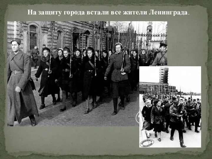 На защиту города встали все жители Ленинграда.
