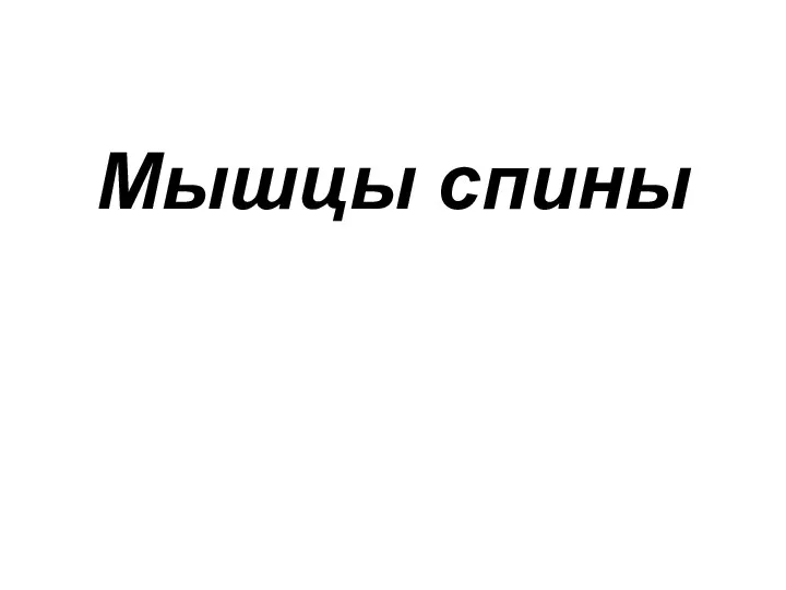 Мышцы спины. Поверхностные мышцы спины. Глубокие мышцы спины