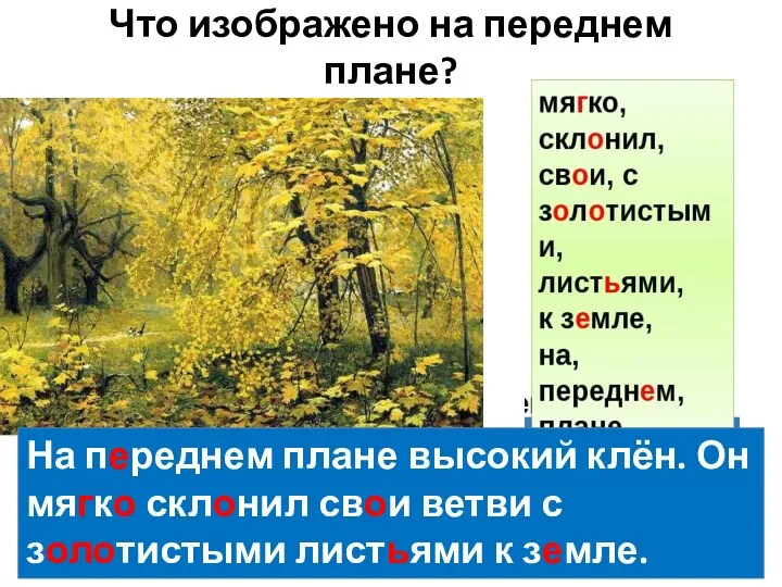 Что изображено на переднем плане? На переднем плане высокий клён.