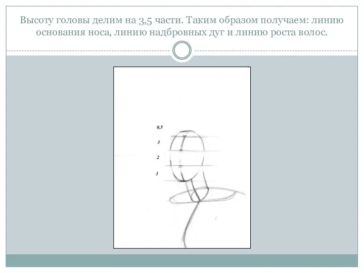 Высоту головы делим на 3,5 части. Таким образом получаем: линию