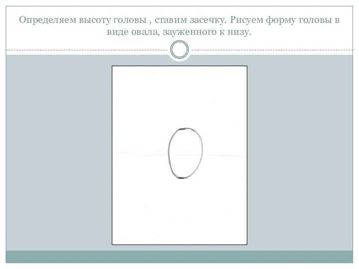 Определяем высоту головы , ставим засечку. Рисуем форму головы в виде овала, зауженного к низу.