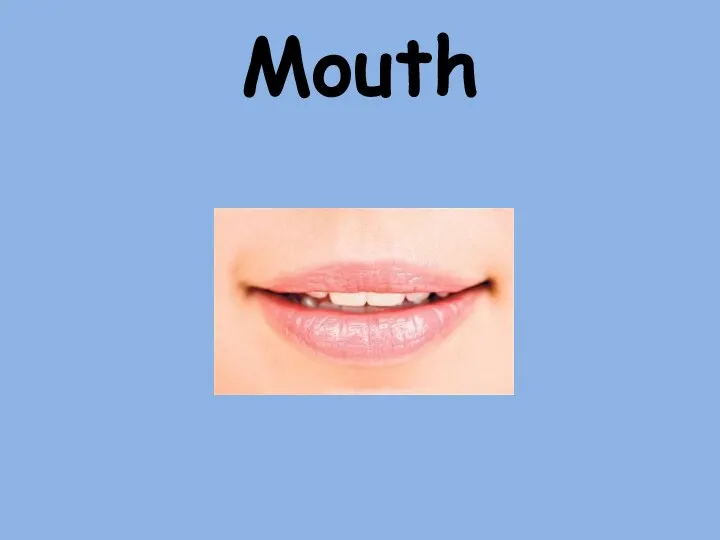 Mouth