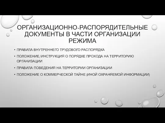 ОРГАНИЗАЦИОННО-РАСПОРЯДИТЕЛЬНЫЕ ДОКУМЕНТЫ В ЧАСТИ ОРГАНИЗАЦИИ РЕЖИМА ПРАВИЛА ВНУТРЕННЕГО ТРУДОВОГО РАСПОРЯДКА