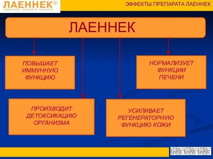 ПОВЫШАЕТ ИММУННУЮ ФУНКЦИЮ ПРОИЗВОДИТ ДЕТОКСИКАЦИЮ ОРГАНИЗМА УСИЛИВАЕТ РЕГЕНЕРАТОРНУЮ ФУНКЦИЮ КОЖИ