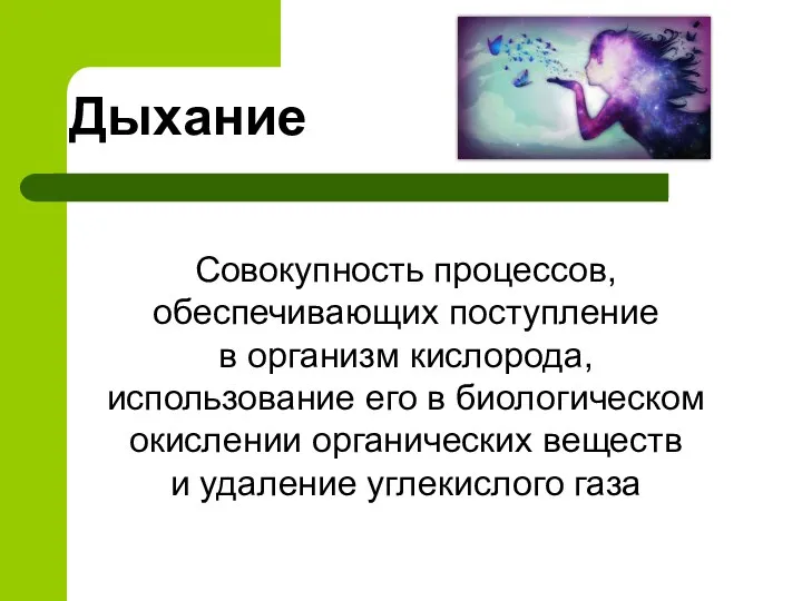 Дыхание Совокупность процессов, обеспечивающих поступление в организм кислорода, использование его