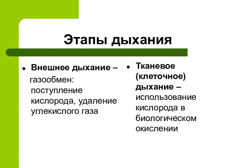 Этапы дыхания Внешнее дыхание – газообмен: поступление кислорода, удаление углекислого