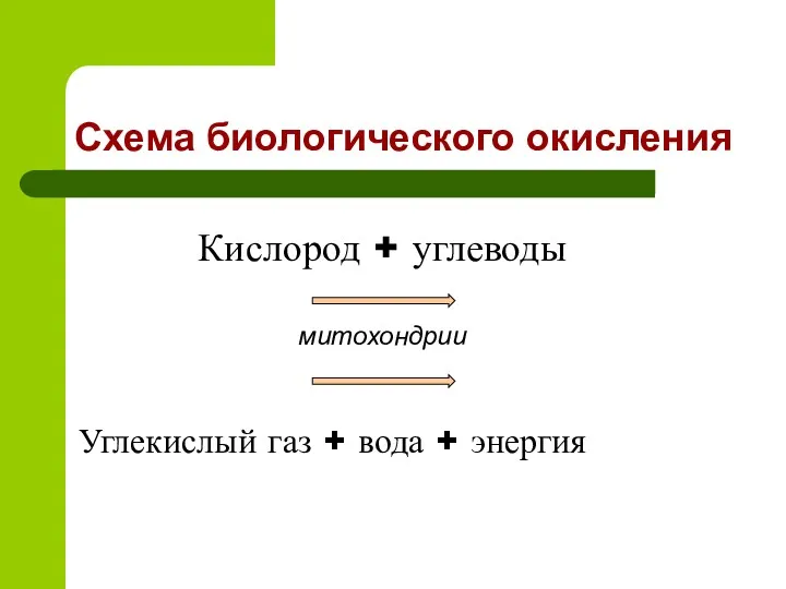 Схема биологического окисления Кислород + углеводы митохондрии Углекислый газ + вода + энергия