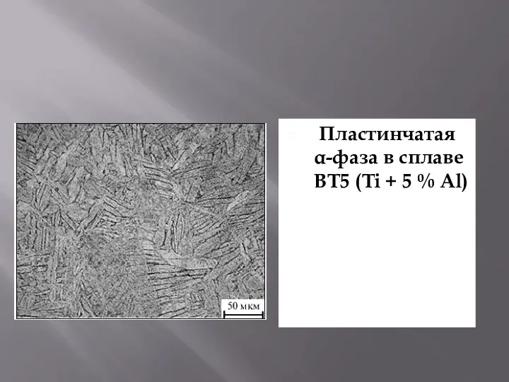 Пластинчатая α-фаза в сплаве ВТ5 (Ti + 5 % Al)