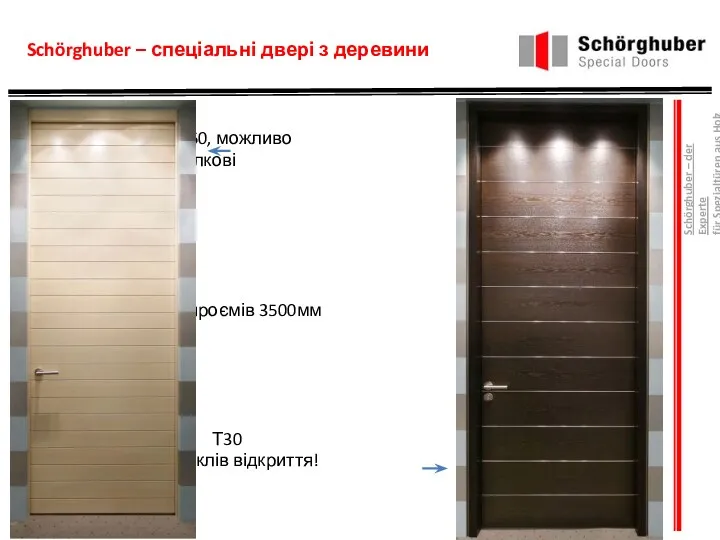Schörghuber – спеціальні двері з деревини Т30/SD 50, можливо двухстулкові