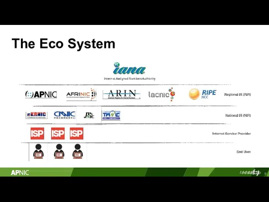 The Eco System