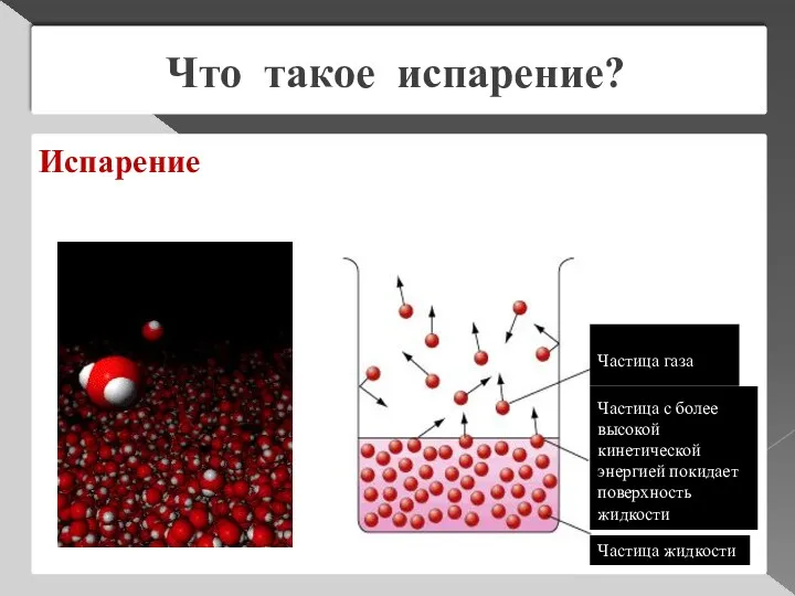 Что такое испарение? Испарение – парообразование, происходящее с поверхности жидкости.