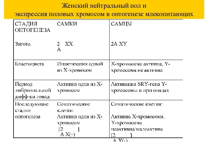 Женский нейтральный пол и экспрессия половых хромосом в онтогенезе млекопитающих