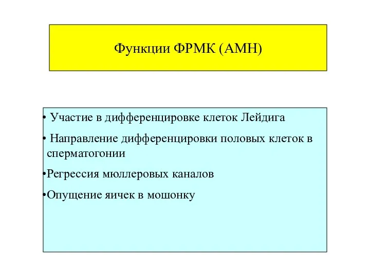 Функции ФРМК (AMH) Участие в дифференцировке клеток Лейдига Направление дифференцировки