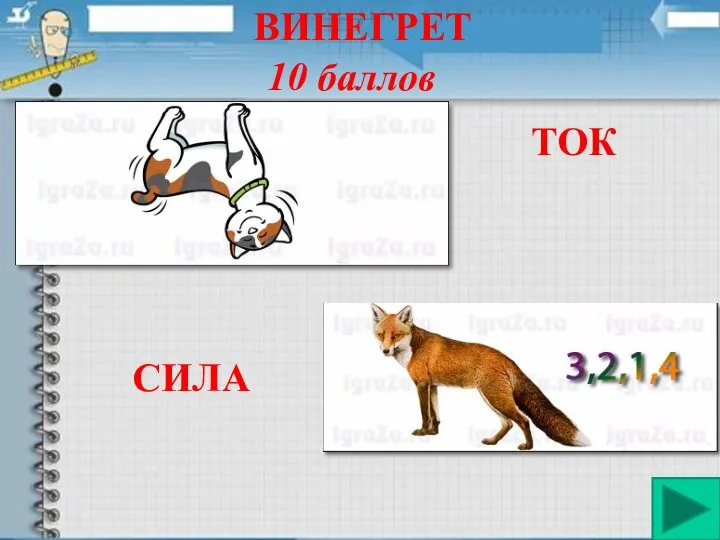 ВИНЕГРЕТ 10 баллов ТОК СИЛА