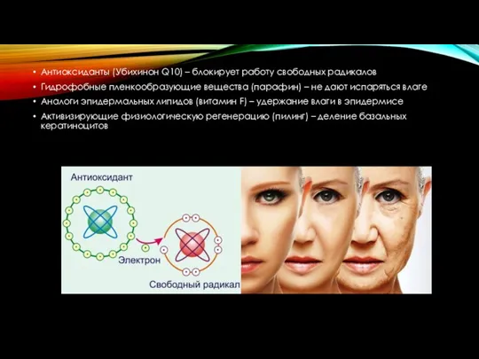 Антиоксиданты (Убихинон Q10) – блокирует работу свободных радикалов Гидрофобные пленкообразующие