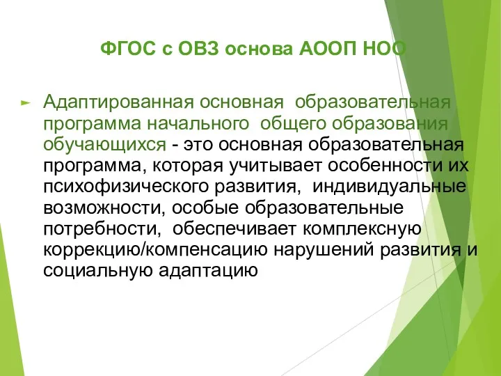 ФГОС с ОВЗ основа АООП НОО Адаптированная основная образовательная программа начального общего образования