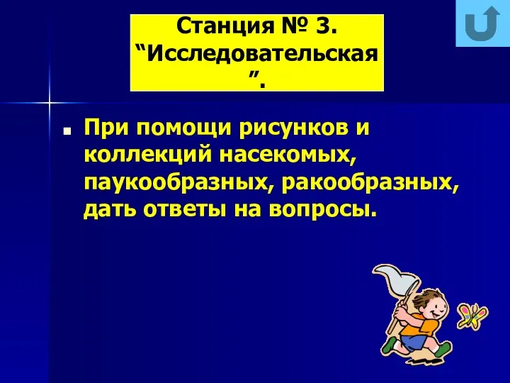 При помощи рисунков и коллекций насекомых, паукообразных, ракообразных, дать ответы на вопросы. Станция № 3. “Исследовательская”.