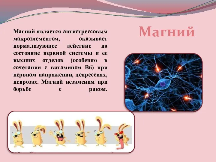 Магний является антистрессовым макроэлементом, оказывает нормализующее действие на состояние нервной