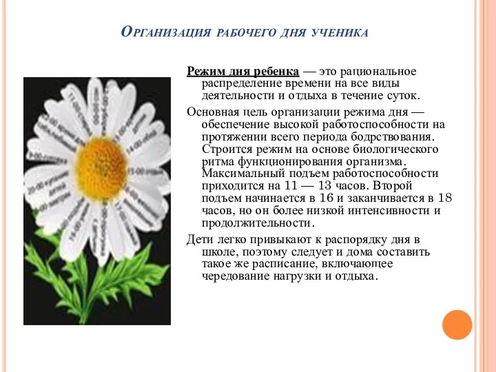 Организация рабочего дня ученика Режим дня ребенка — это рациональное