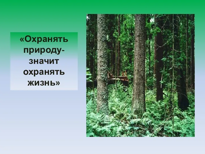 «Охранять природу- значит охранять жизнь»