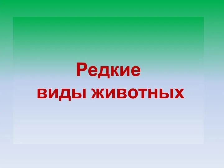 Редкие виды животных