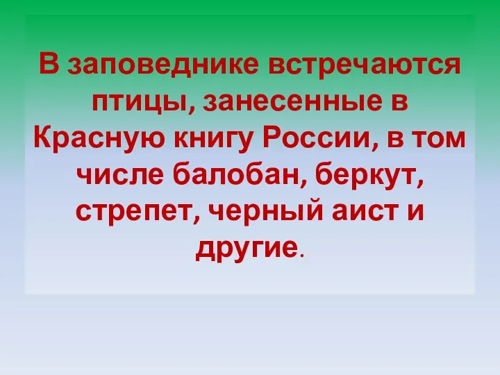 В заповеднике встречаются птицы, занесенные в Красную книгу России, в том числе балобан,