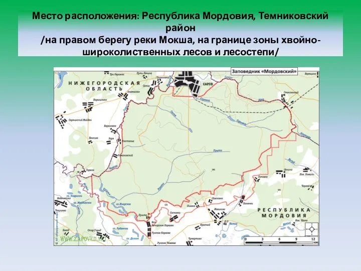 Место расположения: Республика Мордовия, Темниковский район /на правом берегу реки Мокша, на границе