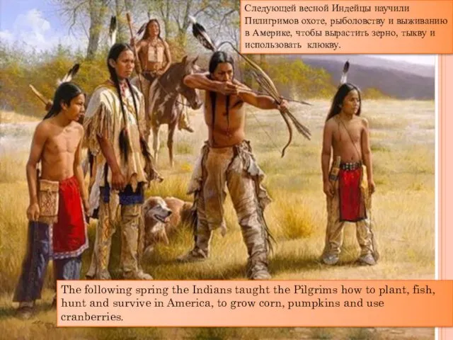 The following spring the Indians taught the Pilgrims how to