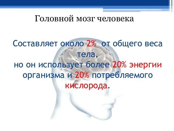 Составляет около 2% от общего веса тела, но он использует