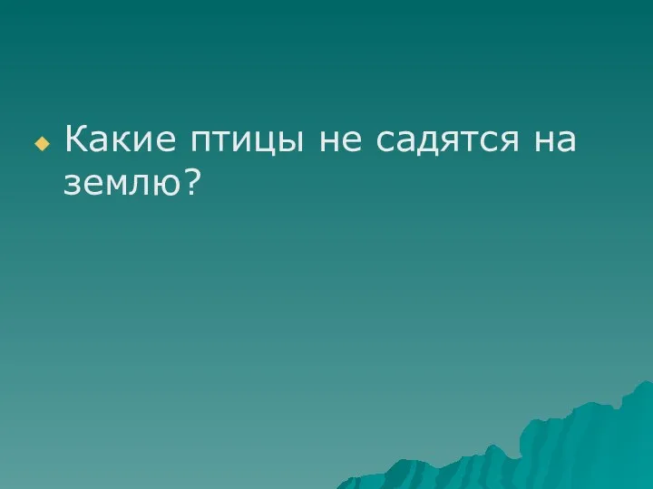 Какие птицы не садятся на землю?