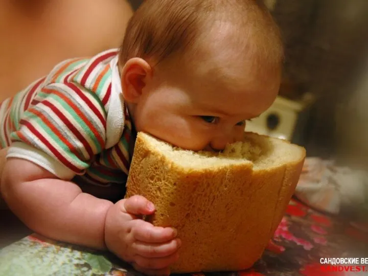 Почему человек не может обойтись без хлеба? Оказывается, хлеб богат