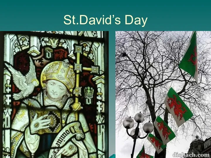 St.David’s Day