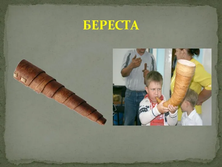 БЕРЕСТА