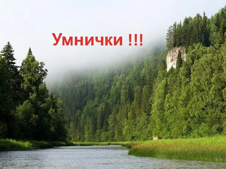 Умнички !!!