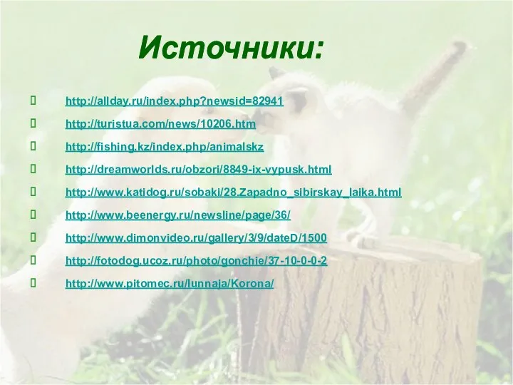Источники: http://allday.ru/index.php?newsid=82941 http://turistua.com/news/10206.htm http://fishing.kz/index.php/animalskz http://dreamworlds.ru/obzori/8849-ix-vypusk.html http://www.katidog.ru/sobaki/28.Zapadno_sibirskay_laika.html http://www.beenergy.ru/newsline/page/36/ http://www.dimonvideo.ru/gallery/3/9/dateD/1500 http://fotodog.ucoz.ru/photo/gonchie/37-10-0-0-2 http://www.pitomec.ru/lunnaja/Korona/ Источники: