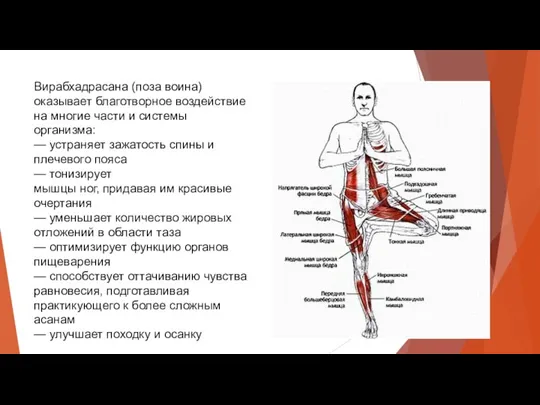 Вирабхадрасана (поза воина) оказывает благотворное воздействие на многие части и