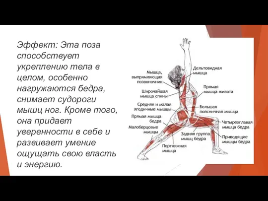 Эффект: Эта поза способствует укреплению тела в целом, особенно нагружаются