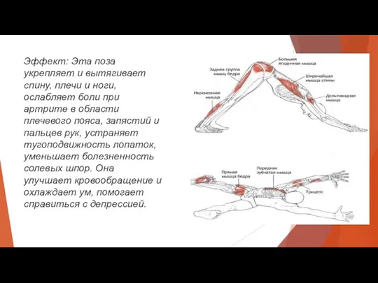 Эффект: Эта поза укрепляет и вытягивает спину, плечи и ноги,