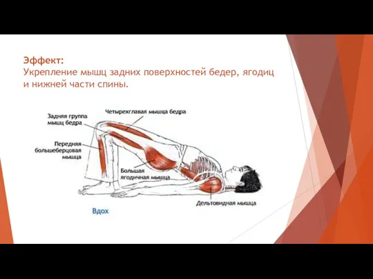 Эффект: Укрепление мышц задних поверхностей бедер, ягодиц и нижней части спины.