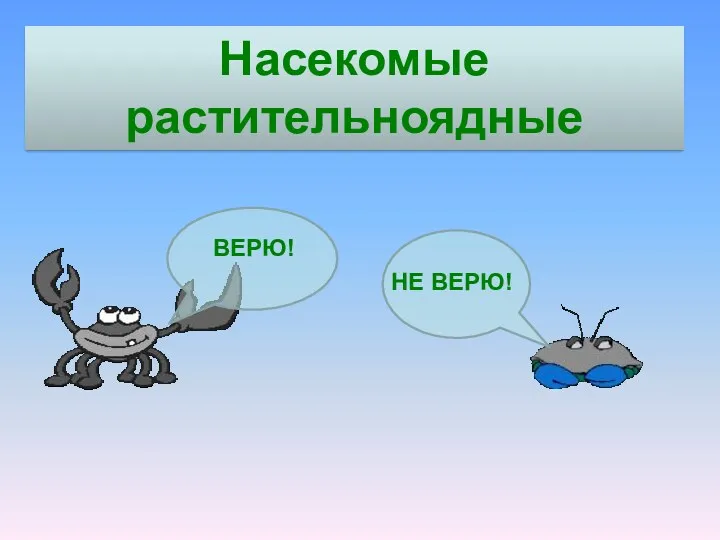 Насекомые растительноядные ВЕРЮ! НЕ ВЕРЮ!