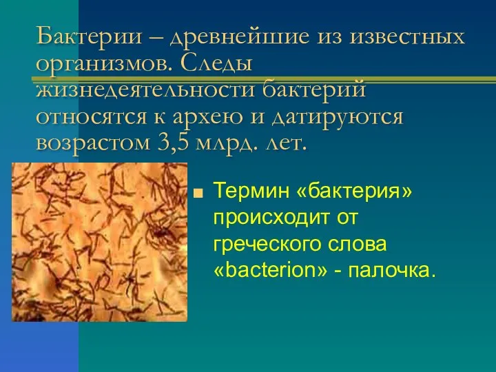 Бактерии – древнейшие из известных организмов. Следы жизнедеятельности бактерий относятся