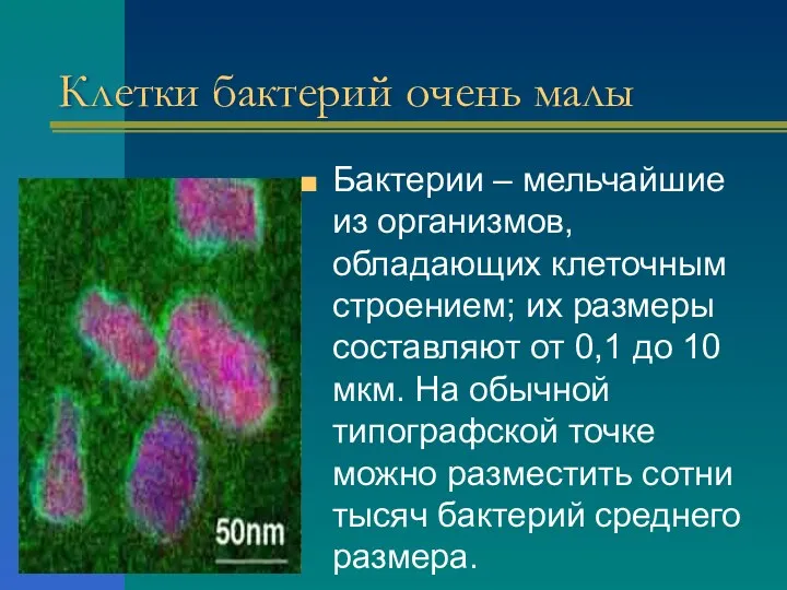 Клетки бактерий очень малы Бактерии – мельчайшие из организмов, обладающих