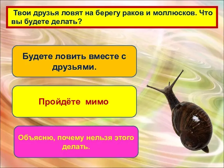 Твои друзья ловят на берегу раков и моллюсков. Что вы будете делать? Будете