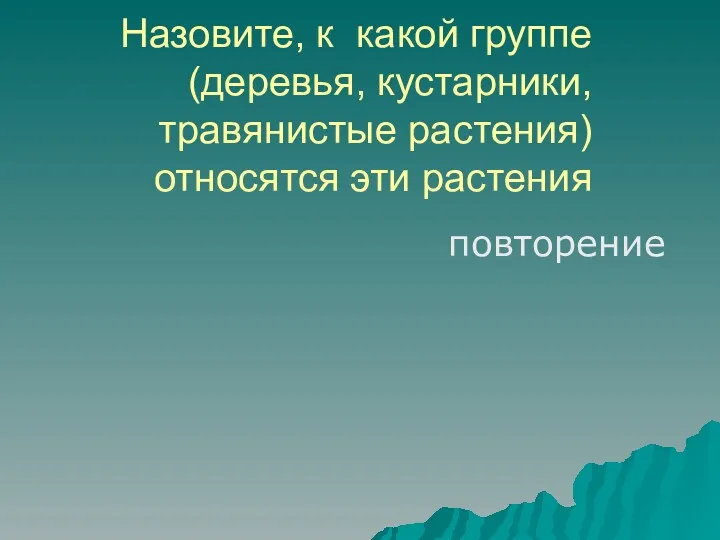 Назовите, к какой группе (деревья, кустарники, травянистые растения) относятся эти растения повторение