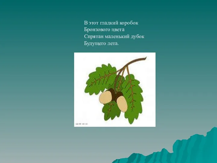 В этот гладкий коробок Бронзового цвета Спрятан маленький дубок Будущего лета.