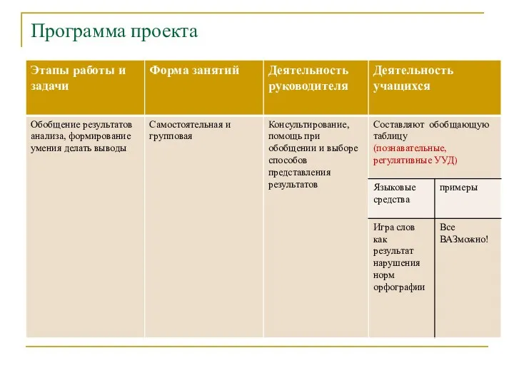 Программа проекта