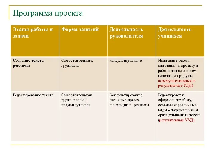 Программа проекта