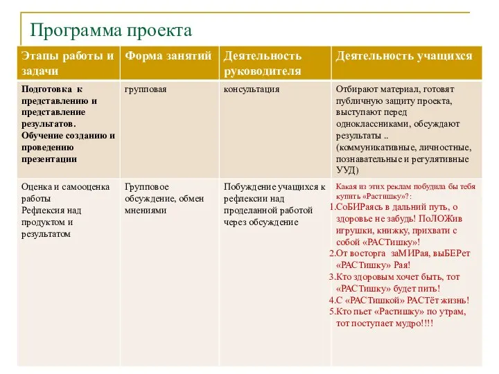 Программа проекта